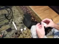 Ear Posting for a Doberman Puppy with Backer Rods