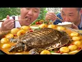 Download Lagu 3斤板栗，二弟做“板栗燉甲魚”，出鍋香到舔手指！【鐵鍋視頻】