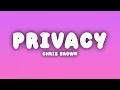 Lagu Chris Brown - Privacy (Lyrics)