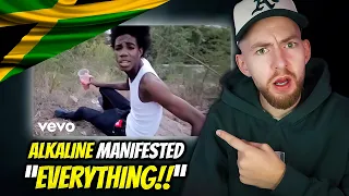 alkaline always knew alkaline live life reaction 