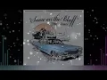 Evening Elephants  - Snow On The Bluff (ZINIZI Remix)