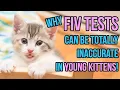 FIV Tests in Young Kittens -