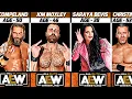 AEW Full Roster Real Names Real Age 2024