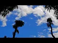 Download Lagu Aesthetic Video | Aesthetic Video 30 Detik | Jedak Jeduk