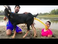 Download Lagu Must Watch New Special Comedy Video 2023 😎Totally Amazing Comedy Episode 220 #busyfunltd