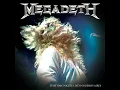 Symphony of Destruction (Live at Obras Sanitarias Stadium, Argentina, 2005)