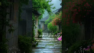 القرآن الكريم تلاوة من سورة الشعراء قاري احمد خضر  القرآن الكريم تلاوة من سورة الشعراء قاري احمد خضر