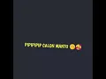 Download Lagu pip pip calon mantu story wa