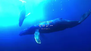 YouTube影片, 內容是GRAND BLUE 碧藍之海 的 PV