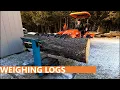 78 - How much do these logs weigh