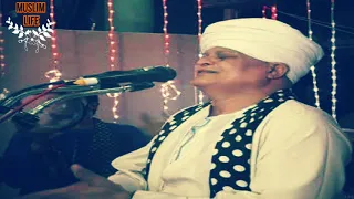 روعة الشيخ عليوة في مدح السيدة زينب رضي الله عنها دندنها