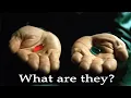 The Red Pill Blue Pill Finally Explained MATRIX EXPLAINED