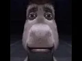 donkey stare meme