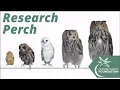 MT for Multiple Sclerosis A Case Report Research Perch