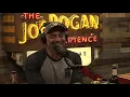 Joe Rogan Experience - Eleanor Kerrigan