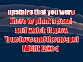 Luke Combs - Plant a Seed (karaoke) (by request)