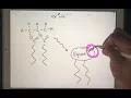 Lipid Polymer Phospholipid
