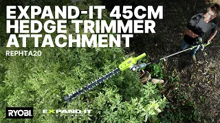 RYOBI Expand-It 45cm Hedge Trimmer Attachment REPHTA20 in action