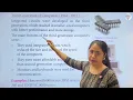 Chapter 1 Generations of Computers Computer Class 5 Smart Lecture Kohinoor Study Well