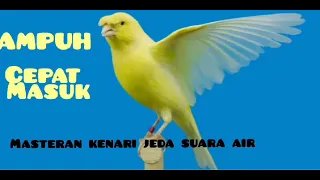 Download masteran kenari dengan terapi suara air MP3