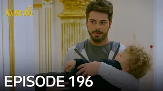 Wounded Birds | Episode 196