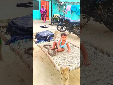 #bts