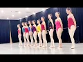 Chinese Dancers Basic Skills Training Assessment Professional Instruction