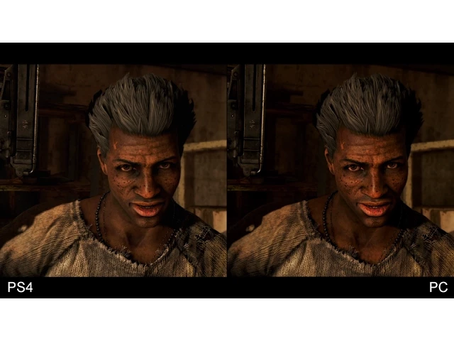 Far Cry 4: PS4 vs PC Comparison