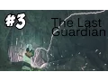 THE LAST GUARDIAN GAMEPLAY WALKTHROUGH Episode 3 - TRICO S AMAZING LASER TAIL