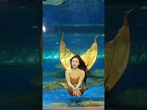 #Mermaid #Aquarium DY 人鱼🧜🏻‍♀️泡泡雨