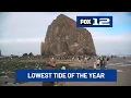 Lowest tide of the year in Cannon Beach