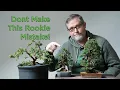 Bonsaify The One Mistake All Bonsai Beginners Make Here s How to Avoid It