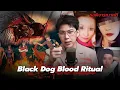 Lagu “Black Dog Blood Ritual”: A murder case involving the use of black dog blood in a ritual | Forens...