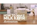 How to Activate Milk Kefir Grains Cultures for Health