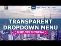 How to Create a CSS3 Dropdown Menu - Pure CSS3 Hoverable Dropdown Menu