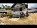 Download Lagu Perkampungan dayak tomun dengan rumah-rumahnya yang unik 