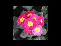 Look At The Sky #ambient mix jan. 29  2023