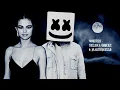 Download Lagu Selena Gomez \u0026 Marshmello - Wolves (Audio)