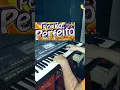 Lagu SOLO SAMARA FORRÓ PERFEITO #SHORT