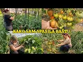 Download Lagu Poslije OLUJE sređujemo vrt, plastenik me iznenadio najviše💥
