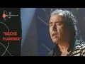 Download Lagu Soleá de Triana. Paco Taranto. 1997