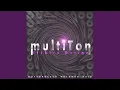 Multiton