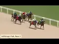 Gulfstream Park Racing Highlights April 2 2026 Full Replays Results