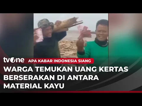HEBOH!! Uang Kertas Ditemukan Berserakan di Tengah Gelondongan Kayu