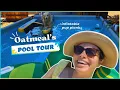 Tour of Oatmeal s Pool A Fun Day with Oatmeal the Dog