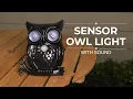 Sensor Owl Light With Sound Walter Drake