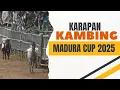 Lagu Madura Cup 2025 KARAPAN KAMBING