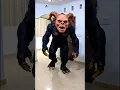 Download Lagu Hantu seram mengejar mereka 😱