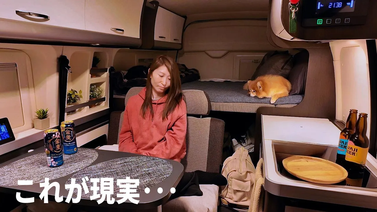 【実録】夫婦と犬との車中泊のリアル |徳島 車中泊編フルVer|ハイエース キャンピングカー車中泊事情