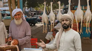 يوم كامل في مطروح وجربت ارخص وجبة فراخ بدويه في مطروح 